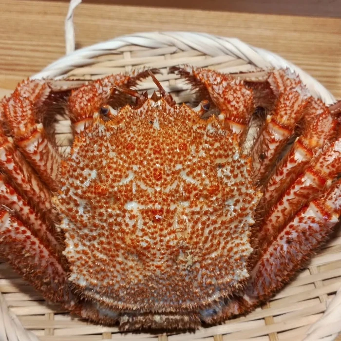 画像860