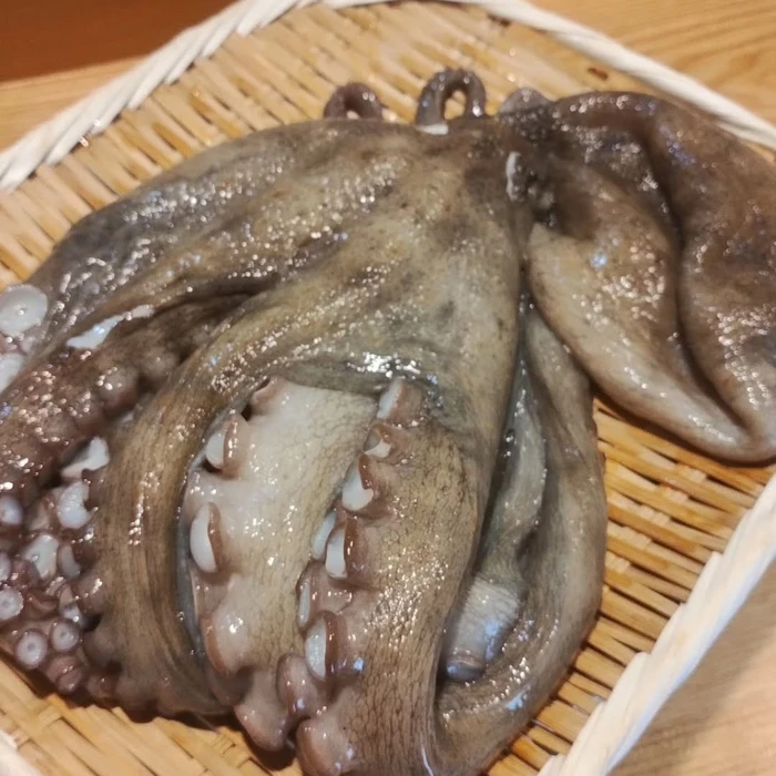 画像882