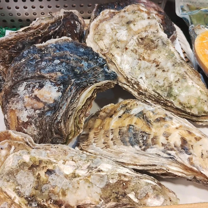 画像899