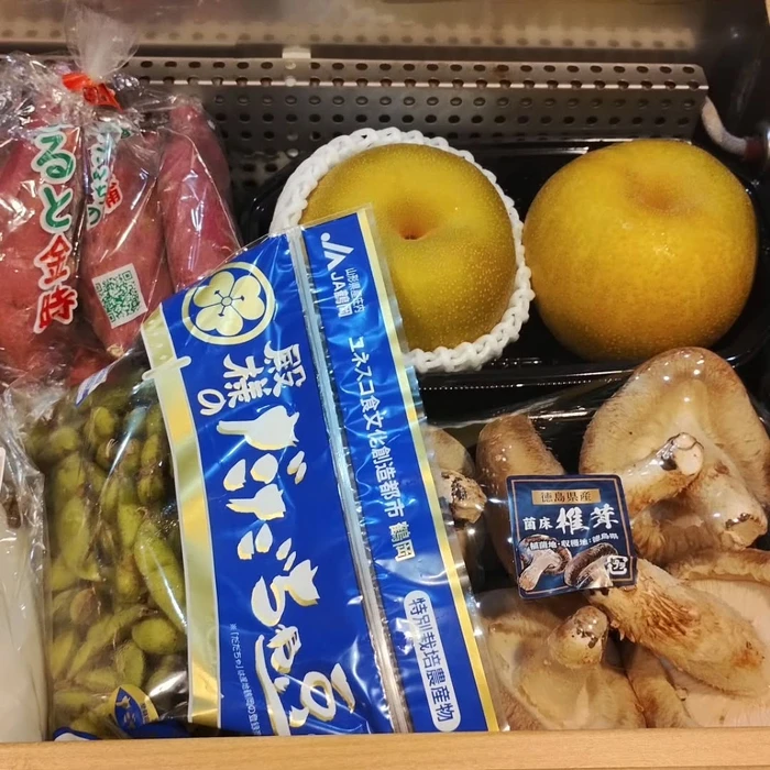 画像931